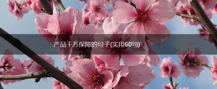 产品千万保障的句子(实用60句),第1张