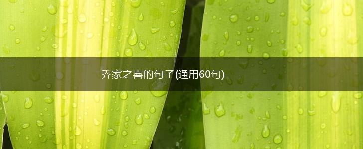乔家之喜的句子(通用60句),第1张