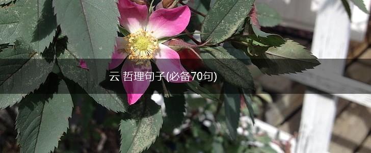 云 哲理句子(必备70句),第1张
