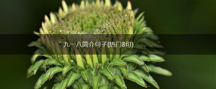 九一八简介句子(热门8句),第1张