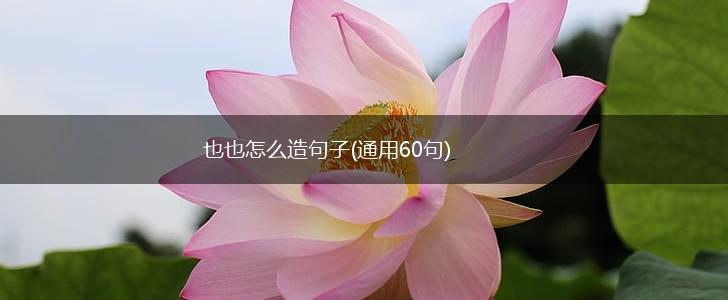 也也怎么造句子(通用60句),第1张
