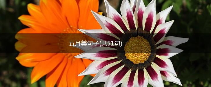 五月美句子(共51句),第1张