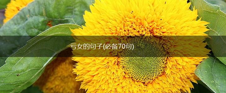 亏女的句子(必备70句),第1张
