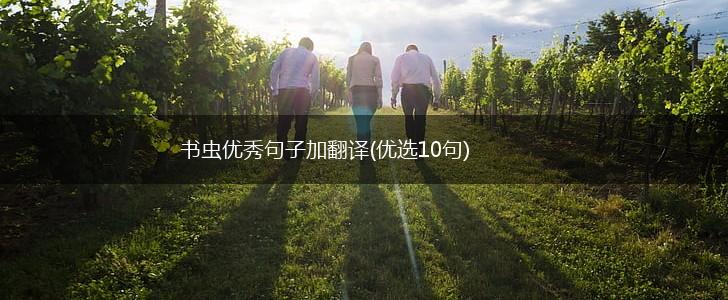 书虫优秀句子加翻译(优选10句),第1张