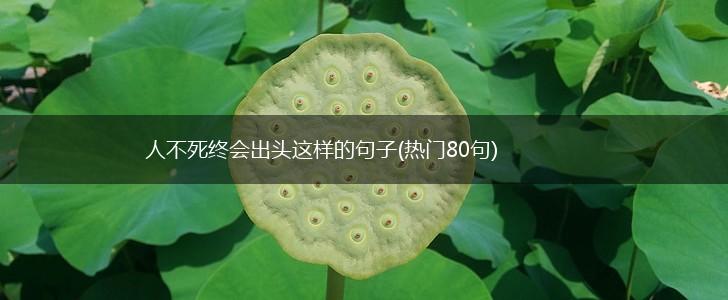 人不死终会出头这样的句子(热门80句),第1张
