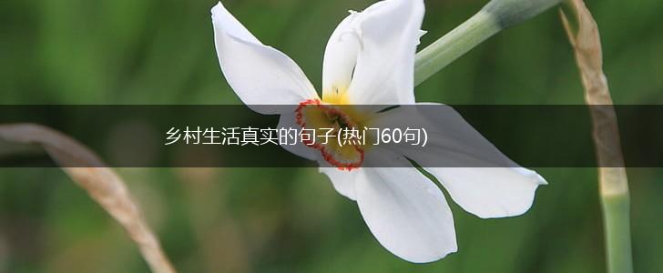 乡村生活真实的句子(热门60句),第1张