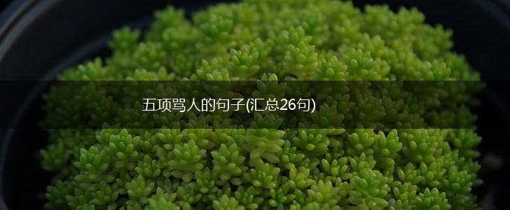 五项骂人的句子(汇总26句),第1张