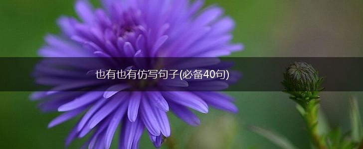 也有也有仿写句子(必备40句),第1张