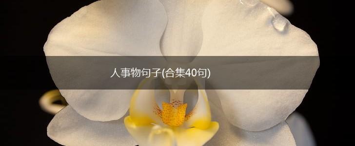 人事物句子(合集40句),第1张