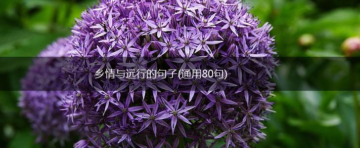 乡情与远行的句子(通用80句),第1张