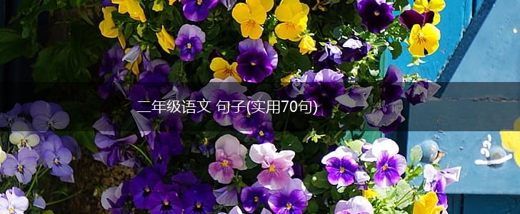 二年级语文 句子(实用70句),第1张