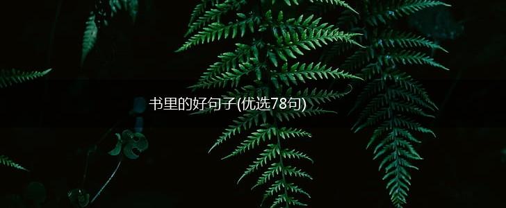 书里的好句子(优选78句),第1张