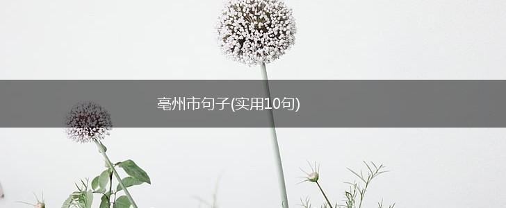 亳州市句子(实用10句),第1张