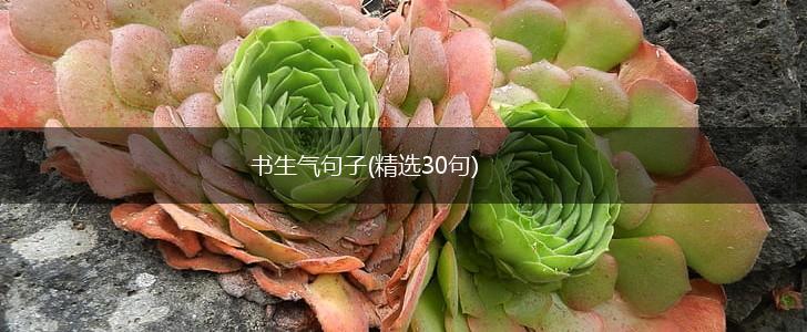 书生气句子(精选30句),第1张