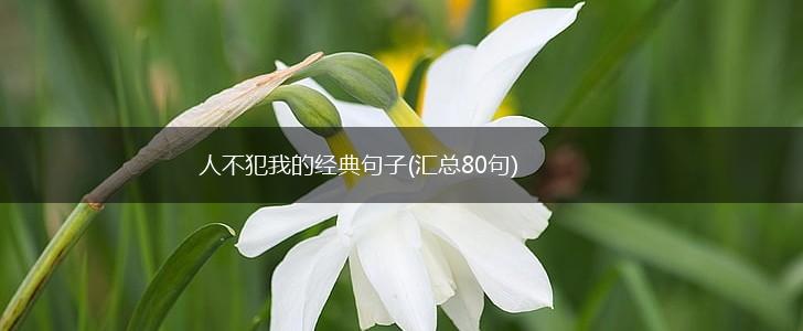 人不犯我的经典句子(汇总80句),第1张