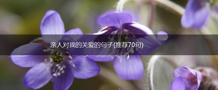 亲人对我的关爱的句子(推荐70句),第1张