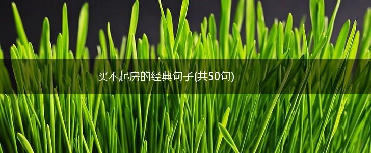 买不起房的经典句子(共50句),第1张