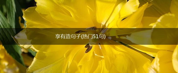 享有造句子(热门51句),第1张