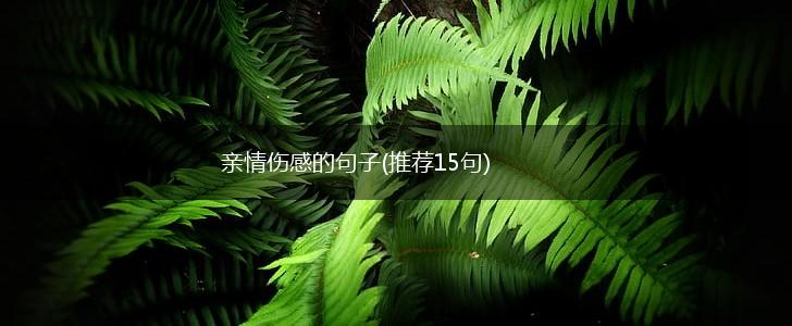 亲情伤感的句子(推荐15句),第1张