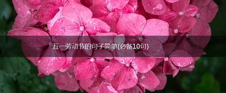 五一劳动节的句子简单(必备10句),第1张