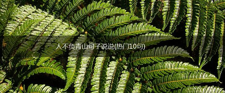 人不负青山句子说说(热门10句),第1张