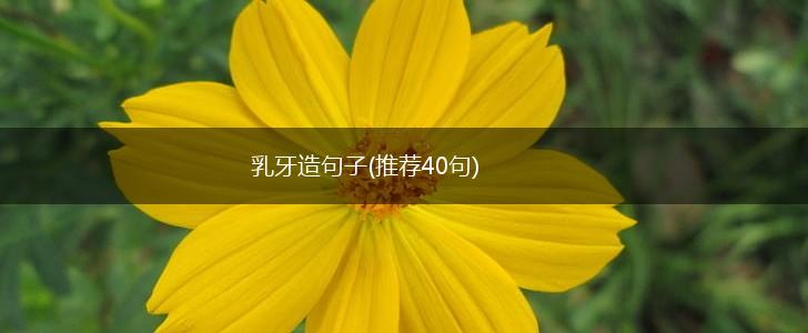 乳牙造句子(推荐40句),第1张
