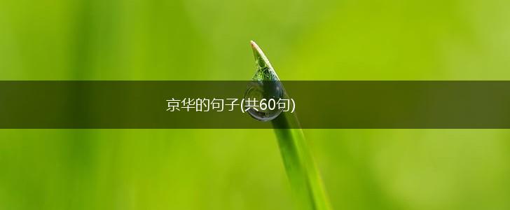 京华的句子(共60句),第1张