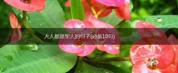 人人都是军人的句子(必备10句),第1张