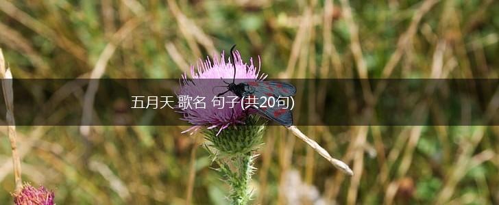 五月天 歌名 句子(共20句),第1张