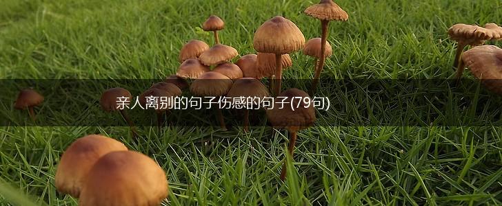 亲人离别的句子伤感的句子(79句),第1张