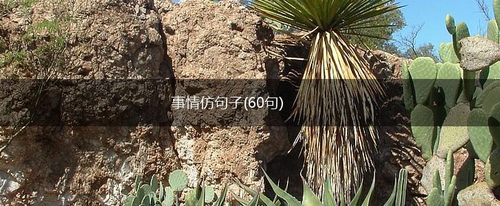 事情仿句子(60句),第1张