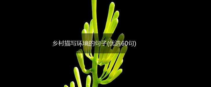 乡村描写环境的句子(优选60句),第1张