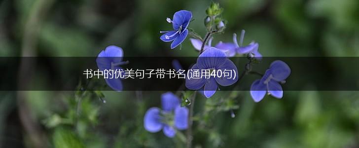 书中的优美句子带书名(通用40句),第1张