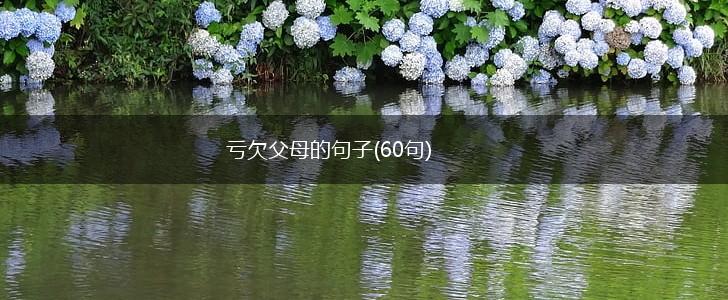 亏欠父母的句子(60句),第1张