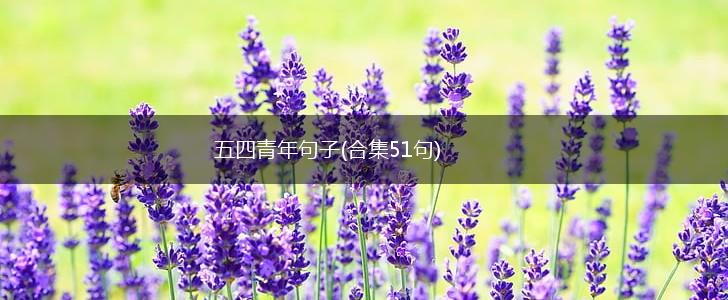 五四青年句子(合集51句),第1张