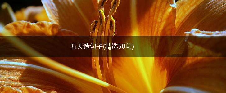 五天造句子(精选50句),第1张