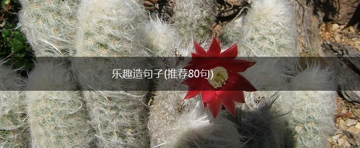 乐趣造句子(推荐80句),第1张