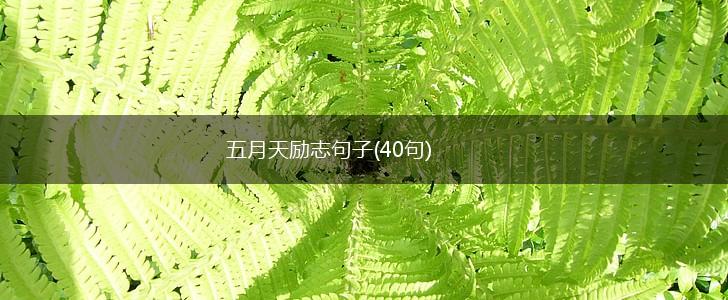 五月天励志句子(40句),第1张