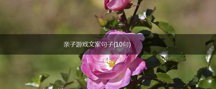 亲子游戏文案句子(10句),第1张