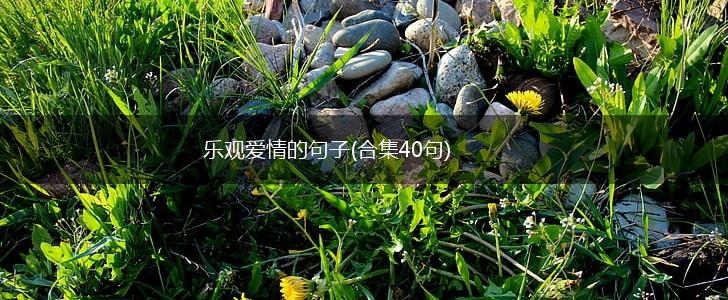 乐观爱情的句子(合集40句),第1张