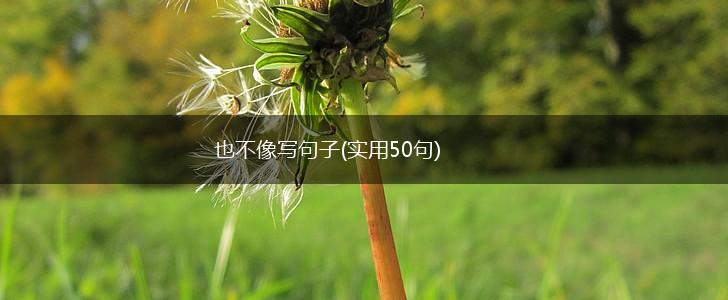 也不像写句子(实用50句),第1张