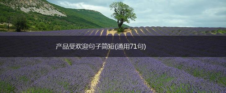 产品受欢迎句子简短(通用71句),第1张