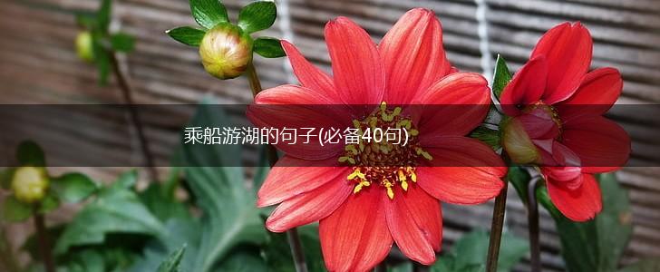 乘船游湖的句子(必备40句),第1张