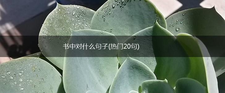 书中对什么句子(热门20句),第1张