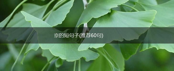 京的短句子(推荐60句),第1张