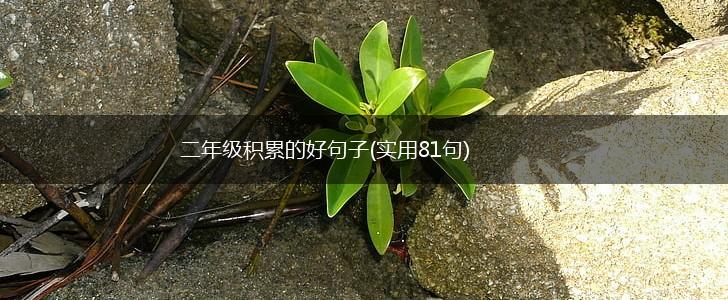 二年级积累的好句子(实用81句),第1张