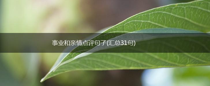事业和亲情点评句子(汇总31句),第1张