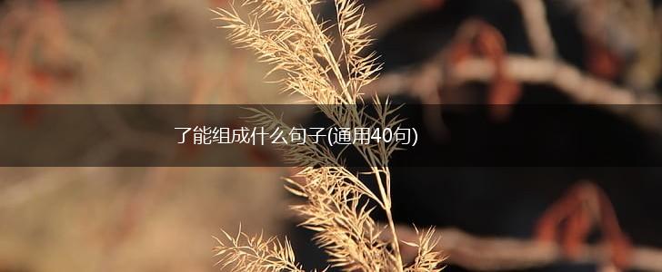 了能组成什么句子(通用40句),第1张