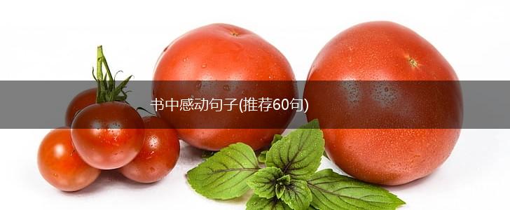 书中感动句子(推荐60句),第1张