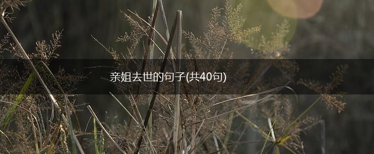 亲姐去世的句子(共40句),第1张